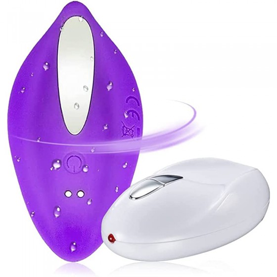 Invisible Vibrating Panty...