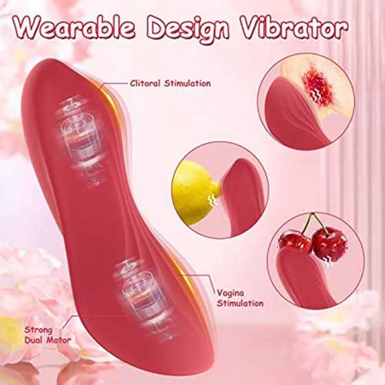 Remote Control Vibrator, G Spot Vibrator, Wearable Panty Clitoral Vibrators, USB Magnetic Charging, Butterfly Vibrator for Women