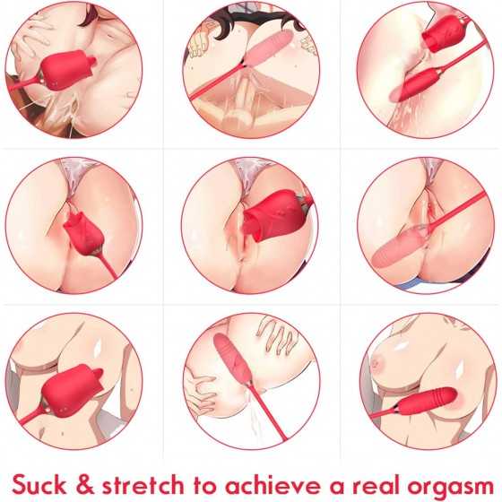 Rose Toy Vibrator for Women, Nipple Clitoral Stimulator Rose Toy, Thrusting Dildo Tongue Licking Vibrator with 9 Modes, Clitoris