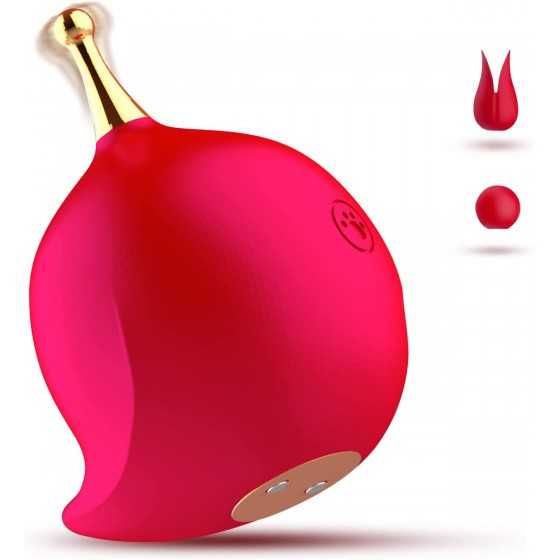 G Spot Clitoral Vibrator for Women,High-Frequency Nipple Vaginal Clitoris Stimulator with 10 Vibration Modes,Sex Toys for Women 