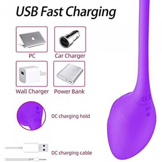 G Spot Bullet Vibrator APP Remote Control Vibrating Panties Vaginal Clitoral Prostate Stimulator with 10 Vibration Modes USB Fas