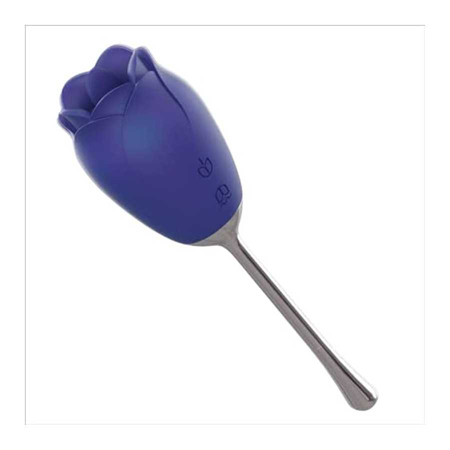 Female Vibrators High Frequency G Spot Clit Vibrator 2 in 1 Nipple Sex Toys for Women Pleasure Clitoral Vibrators with 9 Vibrati