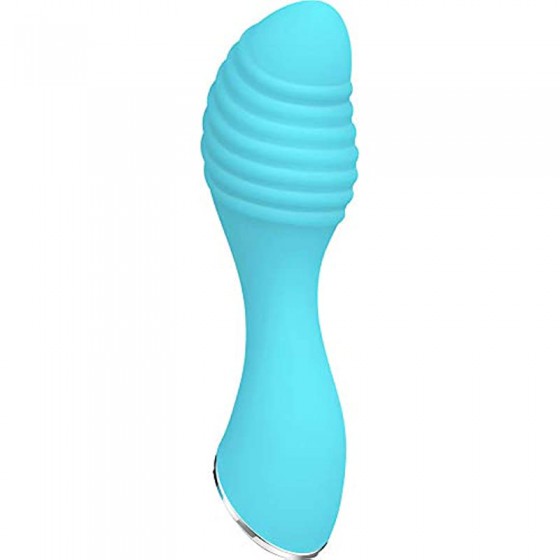 Evolved Novelties | Little...