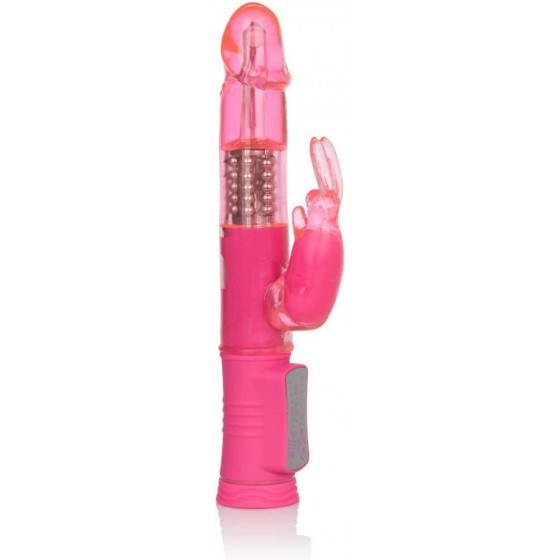  Exotic Novelties Shane's...