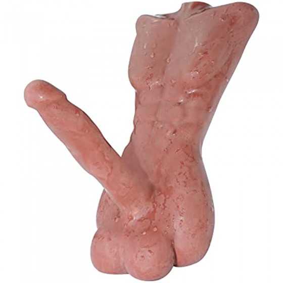 4.4lbs Solid Sex Doll for Women - Mini Male Torso Big Penis Sex Doll with Huge Cock Ball for Couple Sex Toys - 13.3*6.7 inch (Br