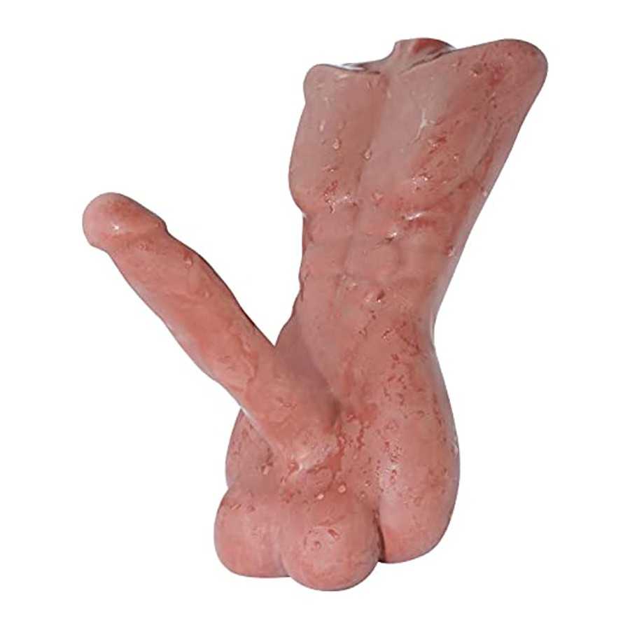 4.4lbs Solid Sex Doll for Women - Mini Male Torso Big Penis Sex Doll with Huge Cock Ball for Couple Sex Toys - 13.3*6.7 inch (Br