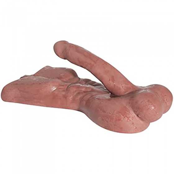 4.4lbs Solid Sex Doll for Women - Mini Male Torso Big Penis Sex Doll with Huge Cock Ball for Couple Sex Toys - 13.3*6.7 inch (Br