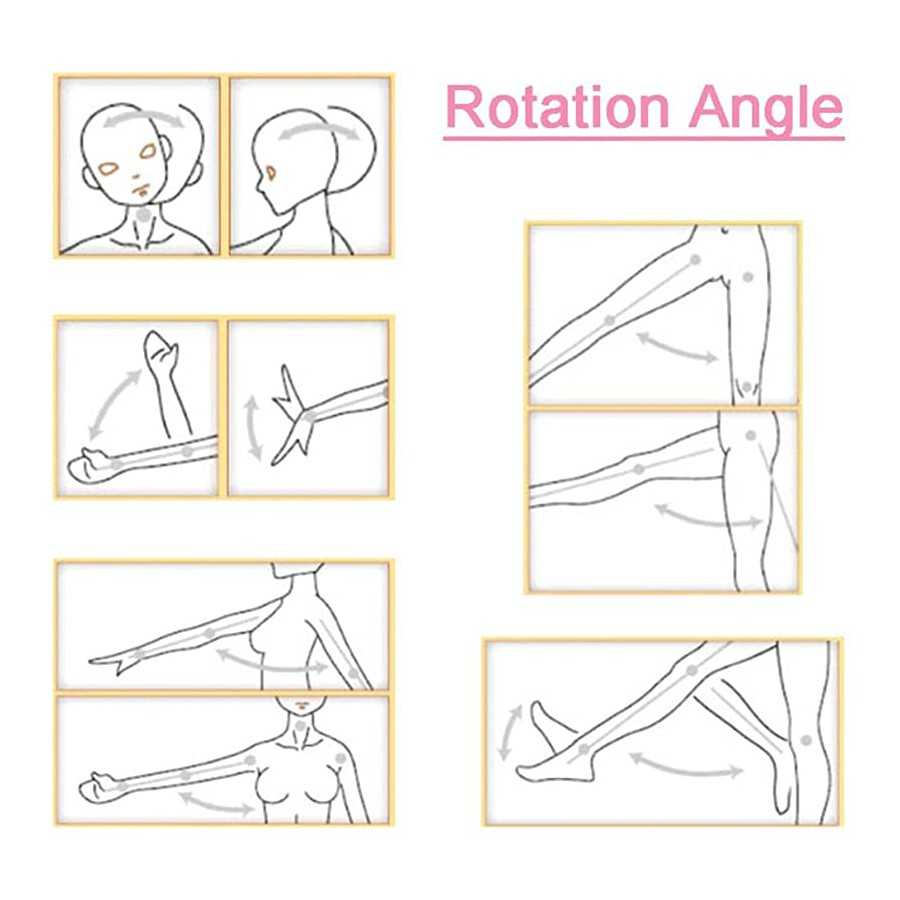 72LB Male Masturbator Sex Doll for Men, Female Sex Doll Torso Realistic Sex Doll with Big Boobs Vagina Anus, Pocket Pussy Love D