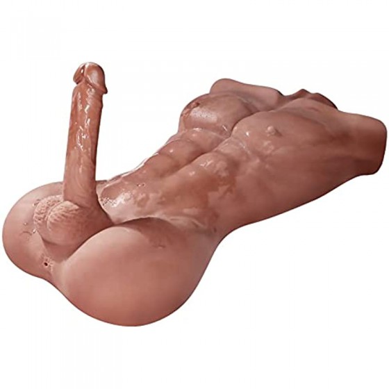  Male Exterior Shape Sex...