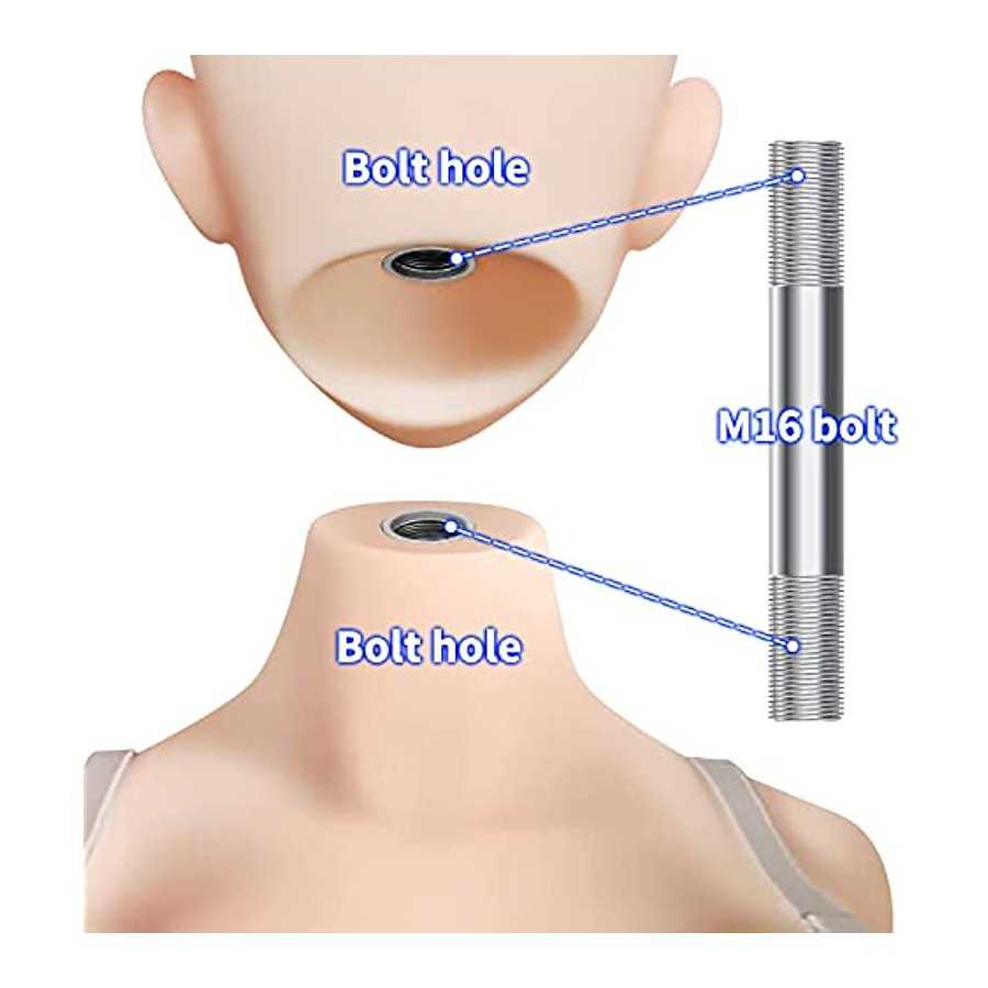 HANIDOLL H2847 Female TPE Silicone Head Figure Sculpt,Beuty Charming Girl Doll Head,M16 Stud Fixed Connection