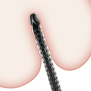 Easy to insert