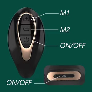 anal vibrator
