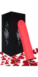 bullet vibrator