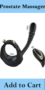 anal plug