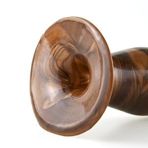 Strong Suction Cup