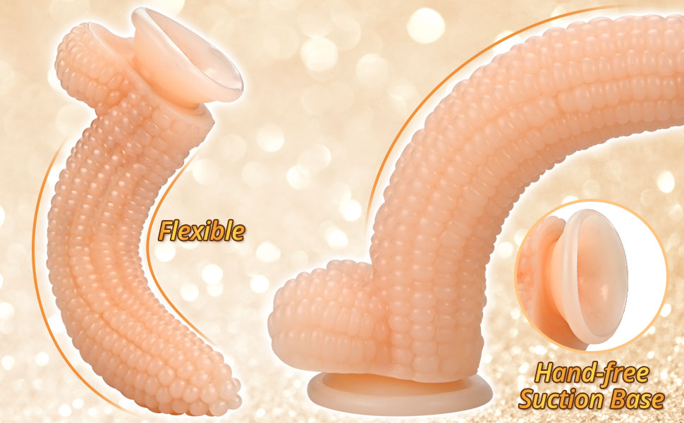 suction cup
