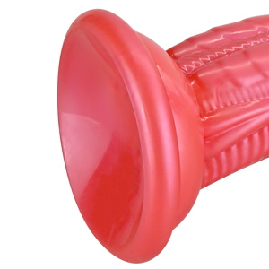 Powerful Suction Cup