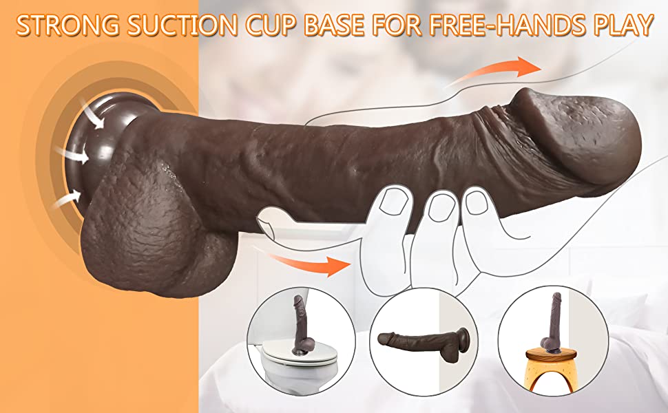 suction cup