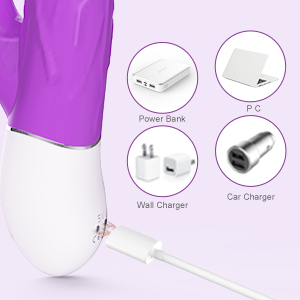 rechargeable vibrator