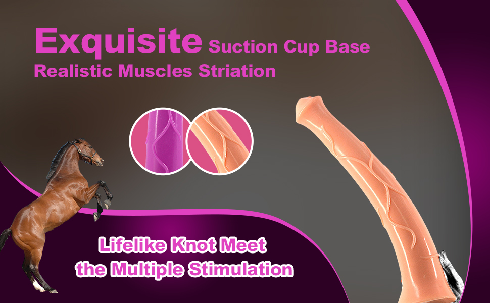 Strong Suction Cup