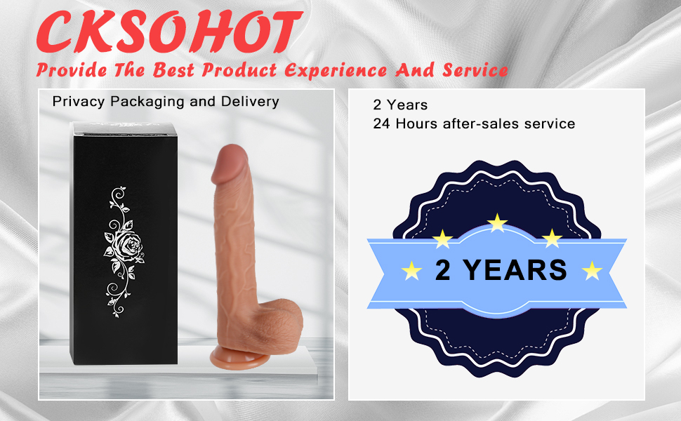 vibrator