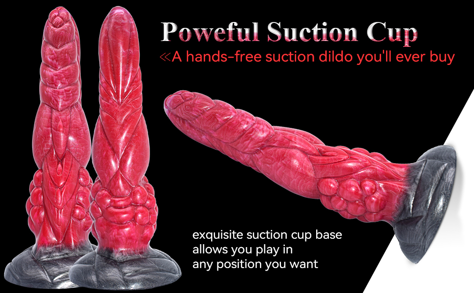 Powerful Suction Cup