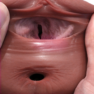 Textured Oral Part