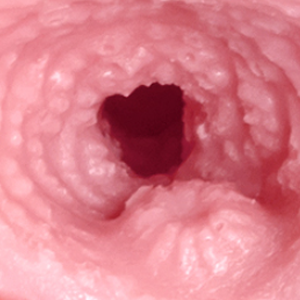 Realistc Vaginal Part