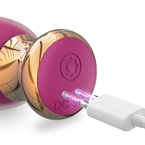 Magnetic Charging
