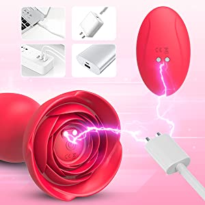 anal sex toy
