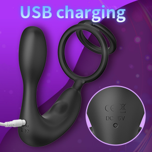 Anal sex toy