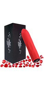 mini vibrator