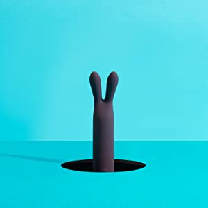 rabit
