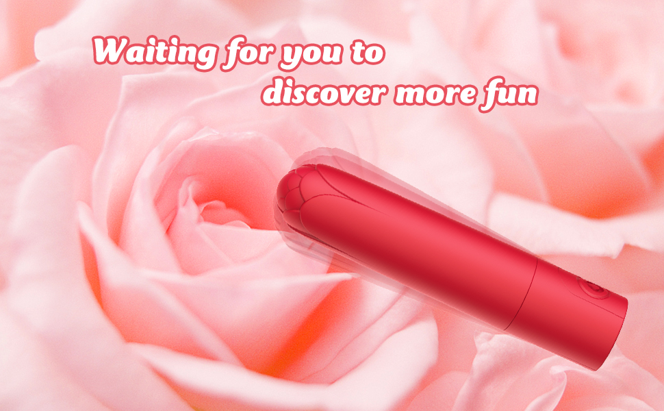 bullet vibrator