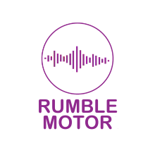 Rumble Motor