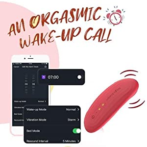  adult vibrator