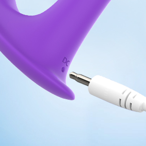 rechargeable