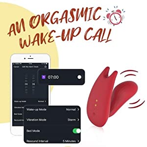  remote viborators
