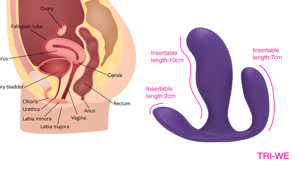 Butterfly Vibrator6
