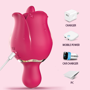 rechargeable vibrator adults 