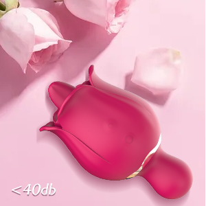 vibrator for adult women 