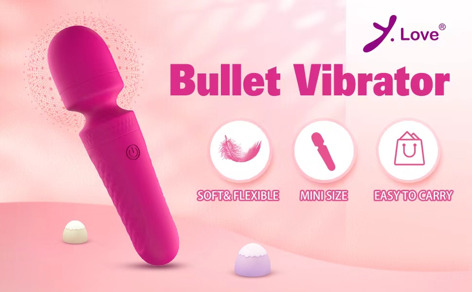 bullet vibrator