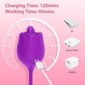 licking vibrator