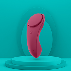 6k Sexy Secret Panty Vibrator