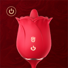 sex toy