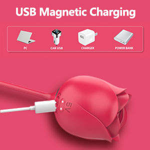 Magnetic rose toy