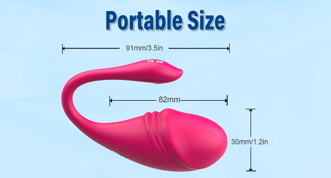 portable vibrator