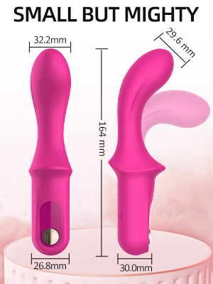 Vibrator for Women\'s Sex, Dildos Adult Sex Toys with 10 Vibration Modes