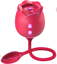Rose Sucking Toy