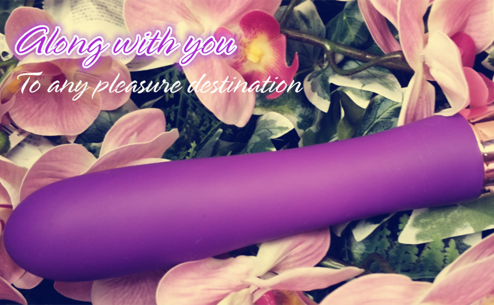 portable vibrator, bullet vibrator